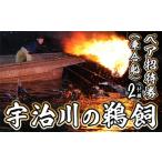 体験チケット 宇治川の鵜飼ペア招待券 乗合船 計2枚