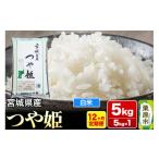 ふるさと納税 米 つや姫 宮城県 栗原市 《定期便12ヶ月》 令和7年産・白米 宮城県産 つや姫 毎月5kg (5kg×1袋)×12ヶ月