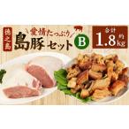 徳之島 愛情 島豚Bセット 島豚ロース 1.2kg