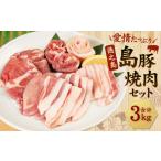 徳之島産 徳之島 愛情 島豚焼肉セット 3種