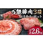 万能 豚肉 3種
