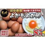 ふるさと納税 卵（鶏、烏骨鶏等） 宮崎県 都城市  お届け日を選べる よかもよか卵85個_MJ-2910-D_(都城市) 河中農園 味が濃くて まろやかな タマゴ 5kg 6種の…