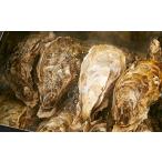 ふるさと納税 牡蠣 生牡蠣 岩手県 陸前高田市  2026年4月前半発送 牡蠣のガンガン焼きとむき身セット 〈殻付き牡蠣8個＆むき身牡蠣150g〉 牡蠣 かき 殻付き む…