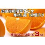 果物の詰合せ 高級 柑橘 温室 せとか 秀品 2L