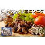 野菜類 薬味 熟成 ジャンボ 黒 ニンニク 750g