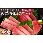 マグロ 本物の味をお届け 厳選 天然三崎まぐろ