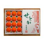 ショッピングせとか ふるさと納税 果物類 みかん 和歌山県 有田川町 化粧箱 柑橘の大トロ ハウス せとか 厳選 12玉入