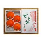 果物類 みかん ハーフ 化粧箱 柑橘の大トロ