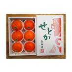 果物類 みかん ハーフ 化粧箱 柑橘の大トロ