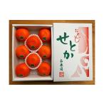 果物類 みかん ハーフ 化粧箱 柑橘の大トロ