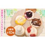ふるさと納税 菓子 アイス 宮崎県 高鍋町 アイスもなか 5種10個セット 2か月以内に順次出荷 アイス 自家製 セット