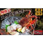 ふるさと納税 おせち 高知県 須崎市 2025年4月より順次配送 朝獲れ 伊勢海老 750g 〜 850g 急速 冷凍 産地直送 須崎 高知 海鮮 魚介類 お正月 お祝い イセエ…