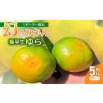 果物類 みかん 服部さんが育てたみかん 極早生ゆら