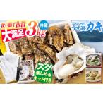 ふるさと納税 牡蠣 生牡蠣 長崎県 西海市 カキ 牡蠣 かき 着日指定 冷蔵 うず潮カキ 約3kg 西彼町漁協 CBZ001 牡蠣 カキ 殻つき かき 冷蔵 西海 長崎 贈答 ギ…