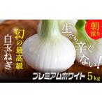 ショッピングふるさと納税 玉ねぎ ふるさと納税 野菜類 玉ねぎ 静岡県 浜松市 浜松篠原産新白玉ねぎプレミアムホワイト5キロ 無選別品 No.5786-2836