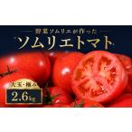 野菜類 トマト 特別栽培農産物 ソムリエトマト