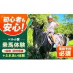 体験チケット 乗馬体験券 ふれあい 30分程度の乗馬