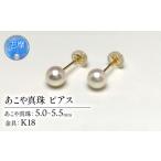 小物 真珠 ピアス アクセサリー パール 5ミリ