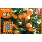 果物類 みかん 温州みかん 50セット