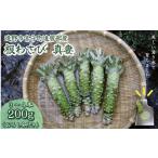 fu.... налог овощи вид приправа Iwate префектура .. город корень васаби подлинный .200g (3~4шт.@) гора . для ... золотой есть . еда производство человек прямая поставка сырой свежий Iwate префектура .. город Special производство | sashimi . мясо стерео...