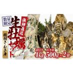 ふるさと納税 牡蠣 生牡蠣 兵庫県 相生市 先行予約 殻付き生牡蠣 4kg,むき身 生牡蠣500g×2 漁師直送