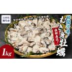 ふるさと納税 牡蠣 生牡蠣 兵庫県 相生市 瞬間冷凍 冷凍むき身牡蠣1kg 漁師直送