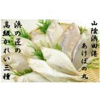 魚貝類 あけぼの丸と浜の匠が贈る高級かれい3種一夜干しセ…