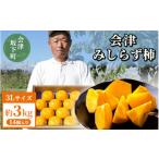 ふるさと納税 果物類 柿 福島県 会津坂下町  予約開始 柿 会津みしらず柿 3Lサイズ 14個入り 約3kg フルーツ 果物 ギフト 渋柿 会津 伊藤果樹園 2025年11月頃…