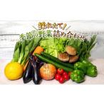 セット 詰合せ 野菜 とれたて 季節の野菜 パック 8品前後