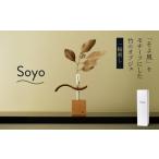 木工品 竹工品 Soyo そよ風 をモチーフにした竹のオブジェ