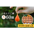 fu.... налог яйцо ( курица,.. курица и т.п. ) Fukuoka префектура нить остров город p "губа" li. яичный желток ..... яйцо 60 шт. комплект нить остров | зеленый. сельское хозяйство . Tama . яйцо AGA012 сырой яйцо куриное яйцо 