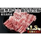 牛肉 ロース No.423 薩摩和牛と鹿児島黒豚の焼肉セット 合…