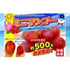 ショッピングふるさと納税 マンゴー ふるさと納税 マンゴー 沖縄県 名護市 2026年発送　道の駅許田のミニマンゴー　約500g マンゴー 小ぶり ミニサイズ 濃厚 産地直送 南国 フルーツ くだもの 果…
