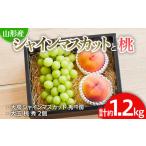 果物の詰合せ シャインマスカットと桃のセット 約1.2kg