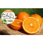ふるさと納税 みかん・柑橘類 鹿児島県 指宿市  2026年発送 たんかん約5kg(迫田果樹園／A-164) 鹿児島 開聞 たんかん みかん タンカン ミカン 指宿 フルーツ …