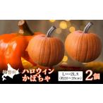 インテリア ハロウィンかぼちゃ Lまたは2Lサイズ玉2個
