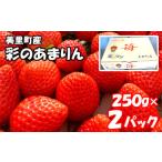 ふるさと納税 いちご 埼玉県 美里町 美里町産いちご 彩のあまりん （250g以上×2パック） ／ 苺 イチゴ あまりん 果物 フルーツ 新鮮 旬 新品種 甘い 甘み 好…