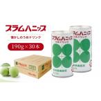 果汁飲料 プラムハニップ 優しい甘さの懐かしの梅ドリンク