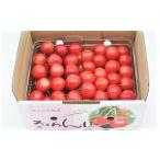 fu.... налог фрукты вид вишня Yamagata префектура сверху гора город вишня ( Sato .)500g рука ..0112-2610