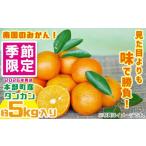 ふるさと納税 みかん・柑橘類 沖縄県 本部町  2026年発送 南国のみかん 本部町産タンカン（約5kg入り） みかん 柑橘 沖縄 おきなわ 果実 フルーツ 青果 期間限…