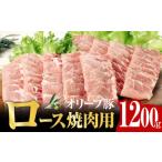 オリーブ牛&豚焼肉三昧セット 1200g