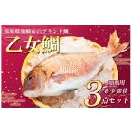 魚貝類 鯛 スピード配送 ブランド 真鯛 希少部位