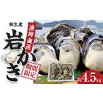 ふるさと納税 牡蠣 生牡蠣 兵庫県 相生市 岩かき　4.5kg 漁師直送 2026年6月中旬〜発送