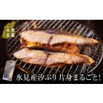 魚貝類 氷見産汐ぶり片身まるごと 〈真空冷凍〉