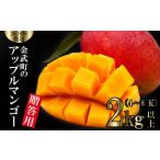 ショッピングふるさと納税 マンゴー ふるさと納税 マンゴー 沖縄県 金武町  2026年発送 金武町のアップルマンゴー 贈答用 2kg以上（4〜6玉） アーウィン 果物 甘い 夏 濃厚 ギフト Mango ランキン…