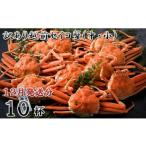 ふるさと納税 カニ ずわいガニ 福井県 坂井市  電話連絡で安心 訳あり 茹で 越前セイコ蟹(中・小) 10杯 2025年12月発送分 K-1601_12 12月発送分