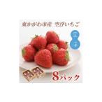 ショッピングふるさと納税 いちご ふるさと納税 香川県 東かがわ市 [No.4631-1831]空浮いちご 8パック「北海道・沖縄・離島へのお届け不可」