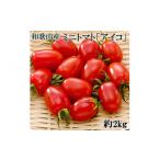 松トマト アイコ 2Kg