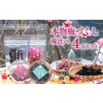 加工品等 梅干 梅干し 梅づくし 4点セット