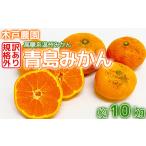 ふるさと納税 果物類 みかん 大分県 杵築市 訳あり・規格外品 木戸農園の「青島 約10kg」 高糖系温州みかん みかん 10kg 訳あり 先行予約 柑橘類 フルーツ 1…